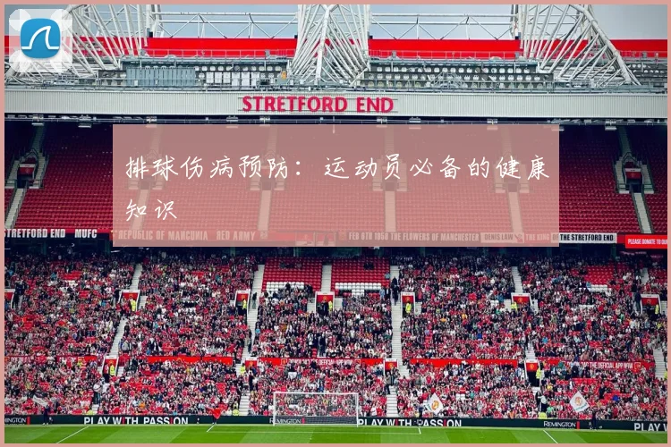 排球伤病预防:运动员必备的健康知识
