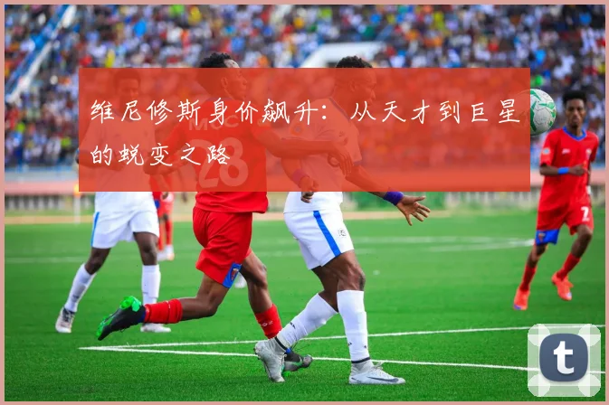 维尼修斯身价飙升:从天才到巨星的蜕变之路